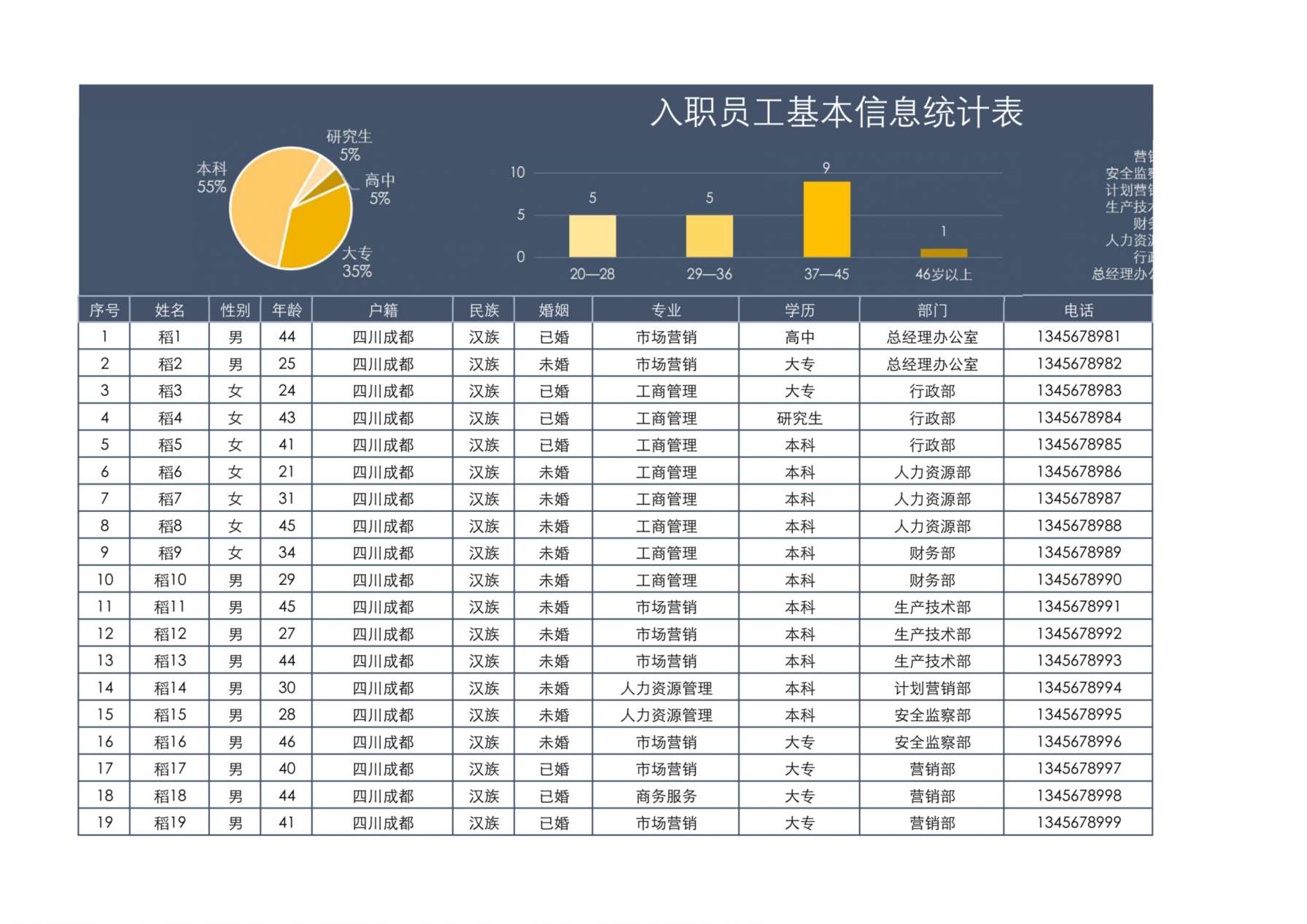 23入职员工基本信息表自动可视化 预览图