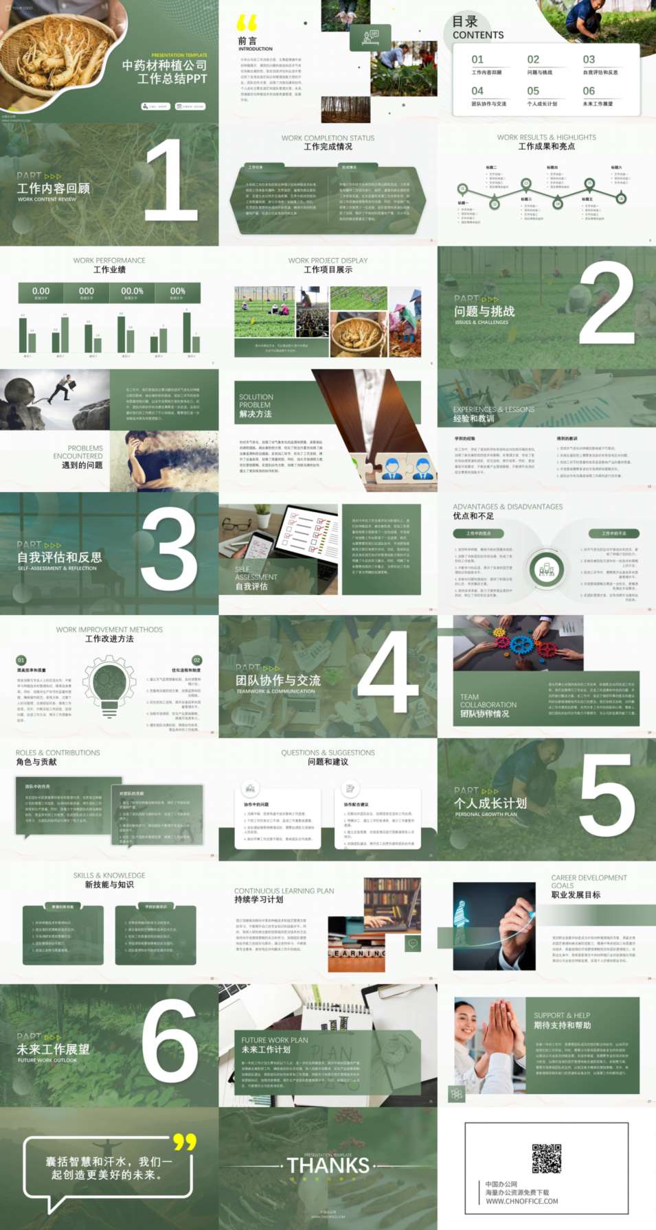 中药材种植公司工作总结ppt模板 预览图