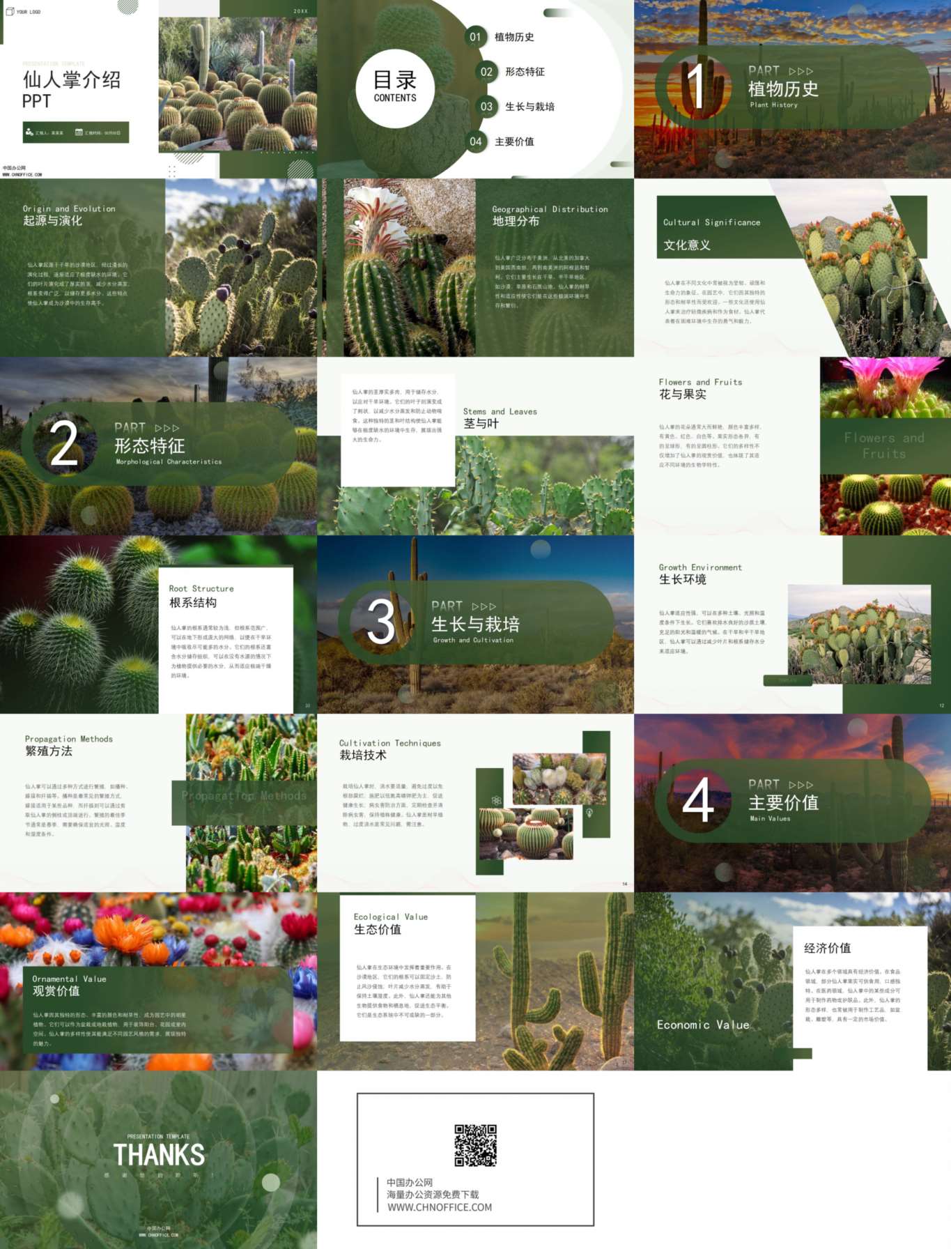 仙人掌水果蔬菜介绍ppt模板 预览图