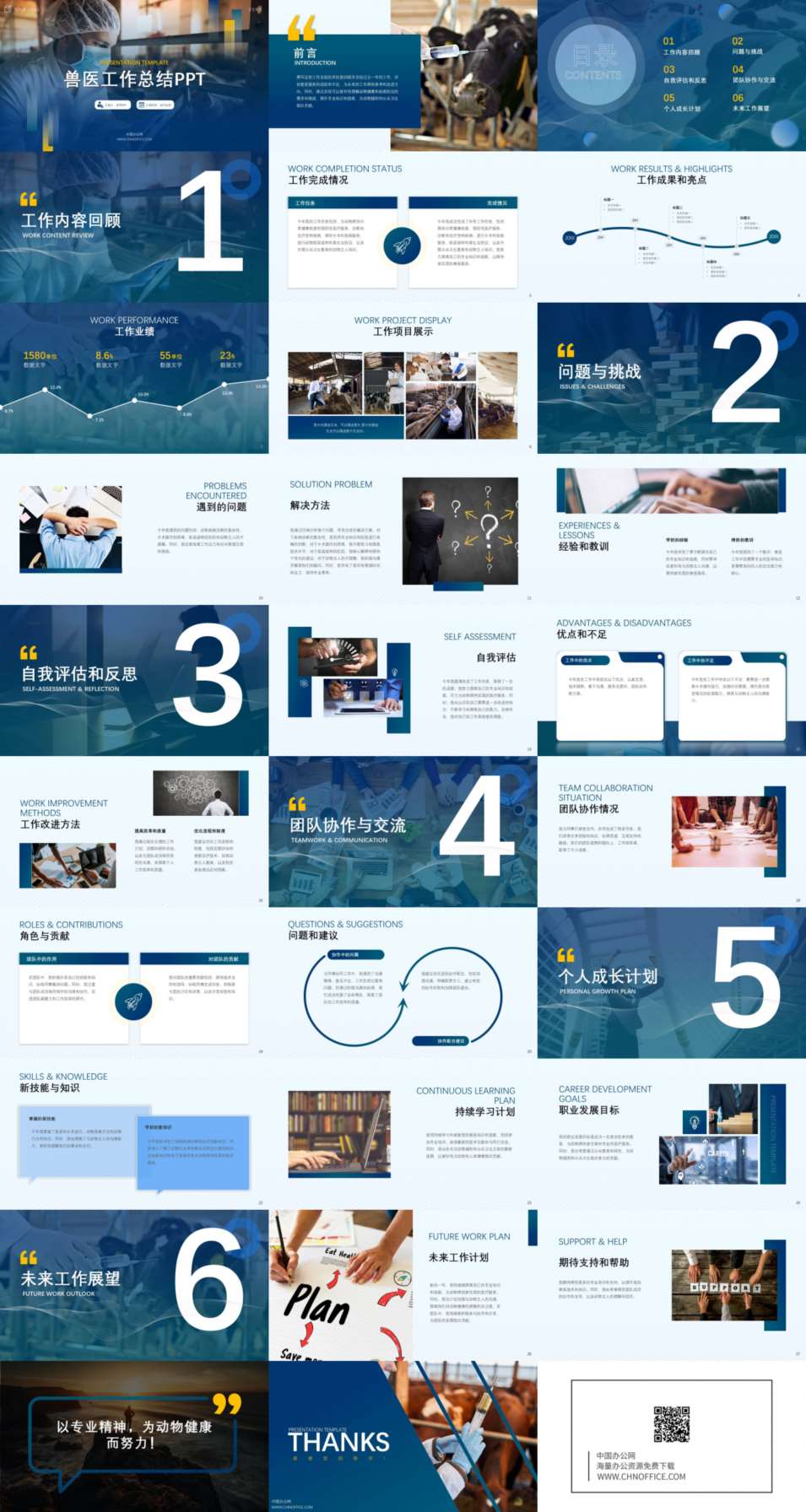 兽医工作总结ppt模板 预览图