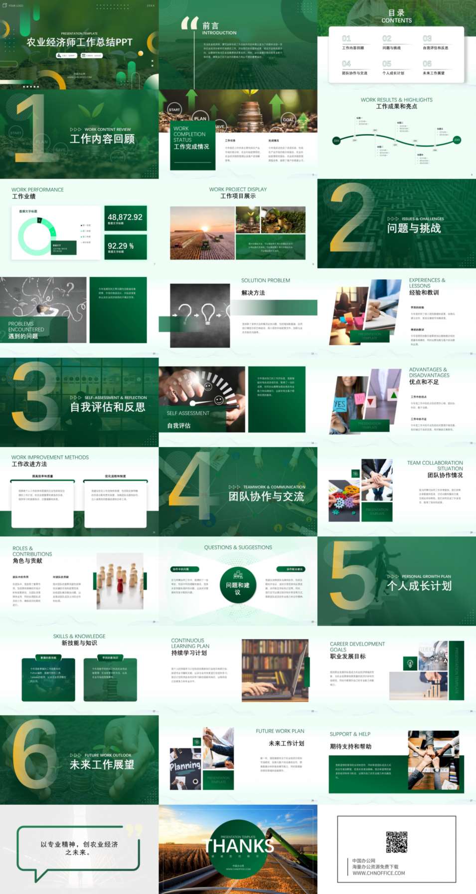 农业经济师工作总结ppt模板 预览图