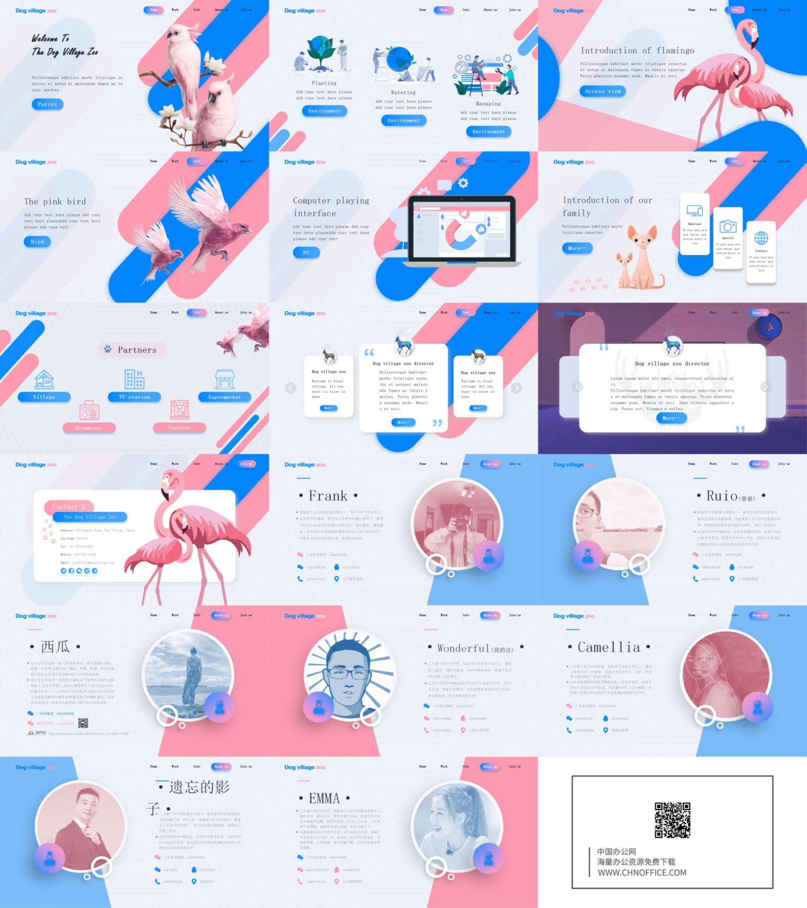 创意时尚粉蓝鹦鹉PPT模板 预览图
