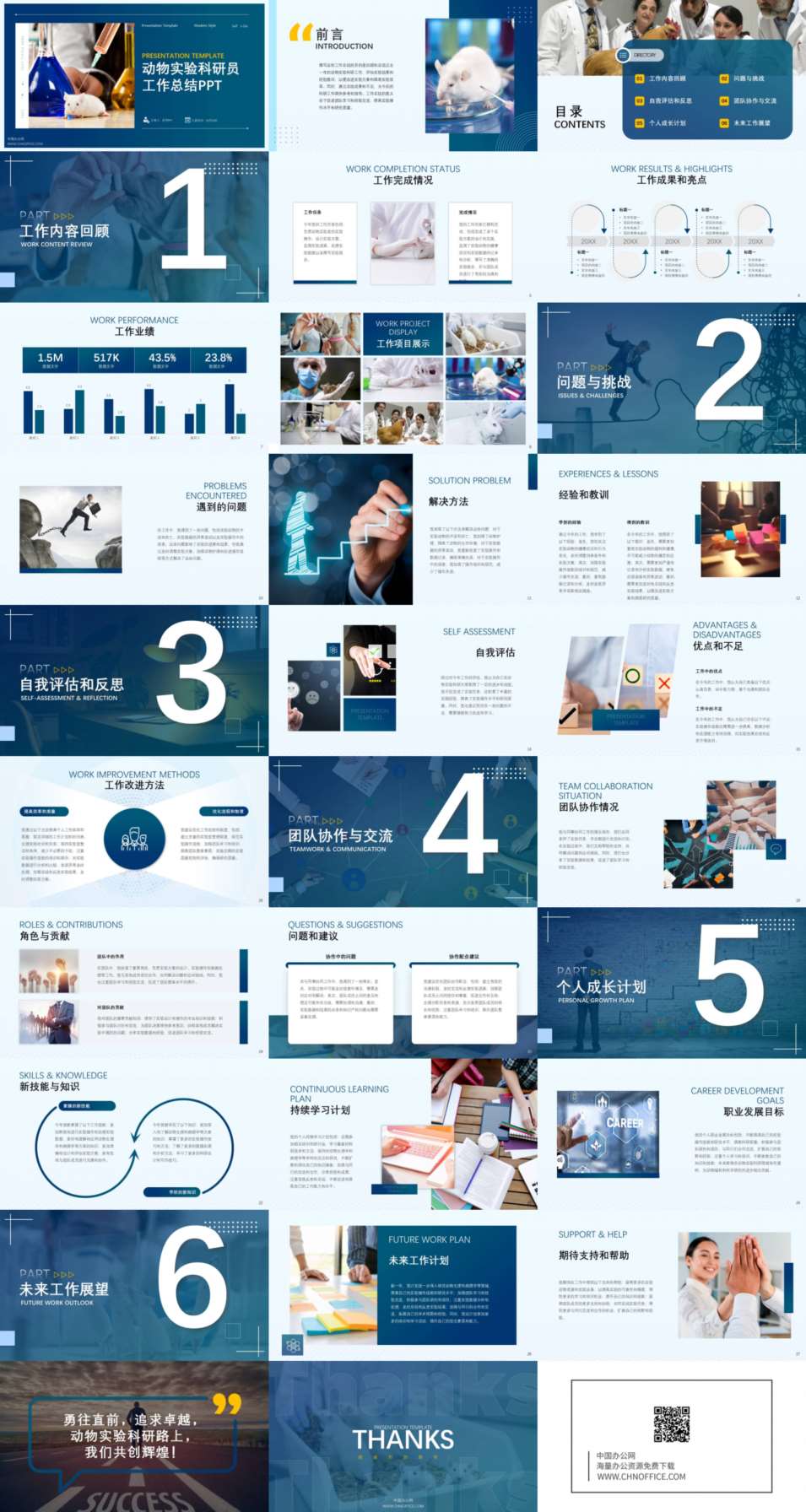 动物实验科研员工作总结ppt模板 预览图