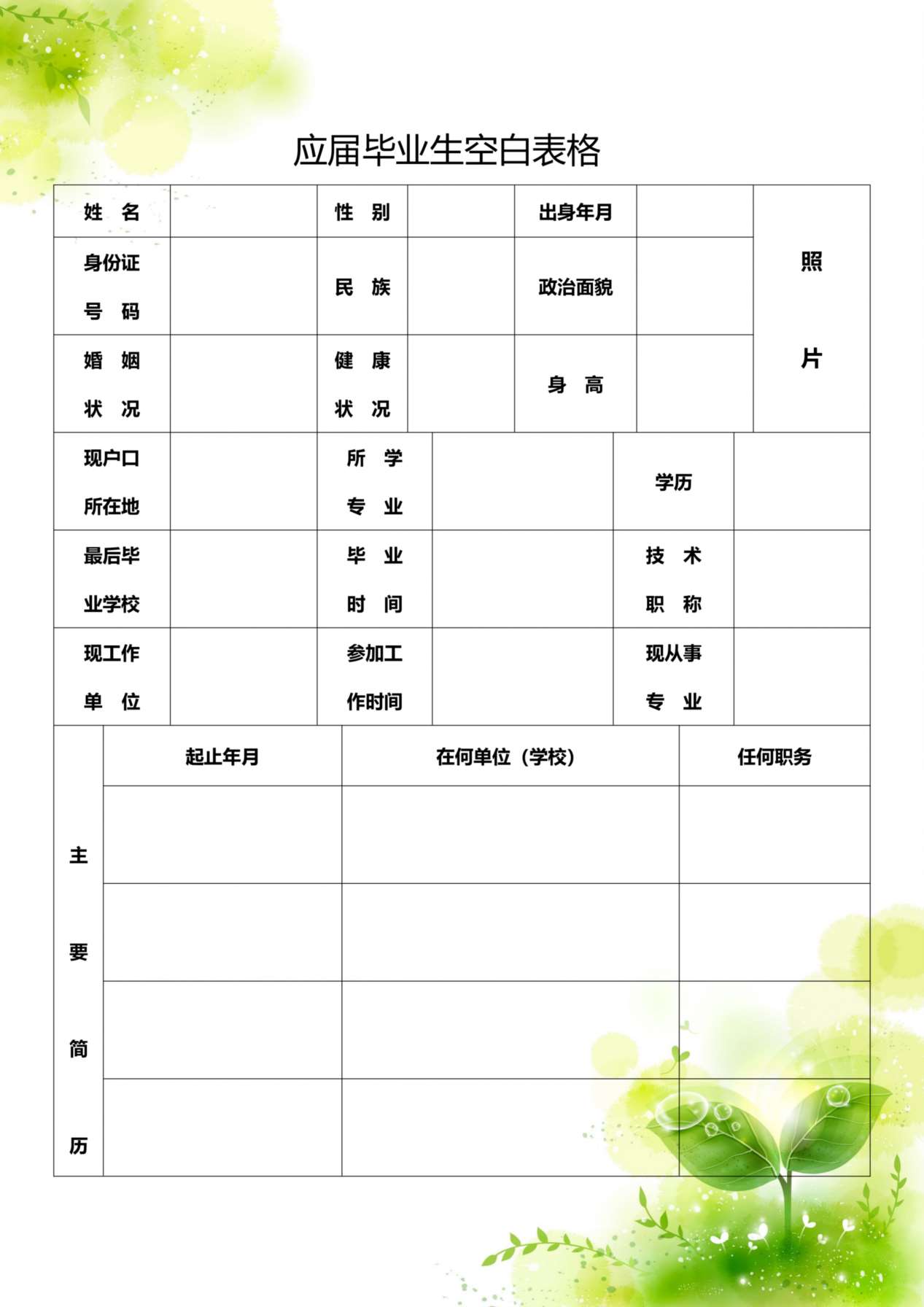 双页空白简历标准表格-3 预览图
