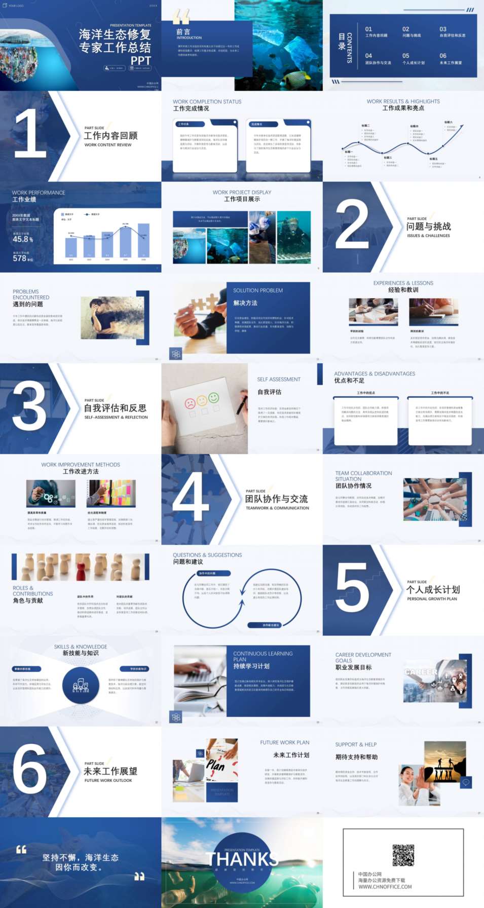 海洋生态修复专家工作总结ppt模板 预览图