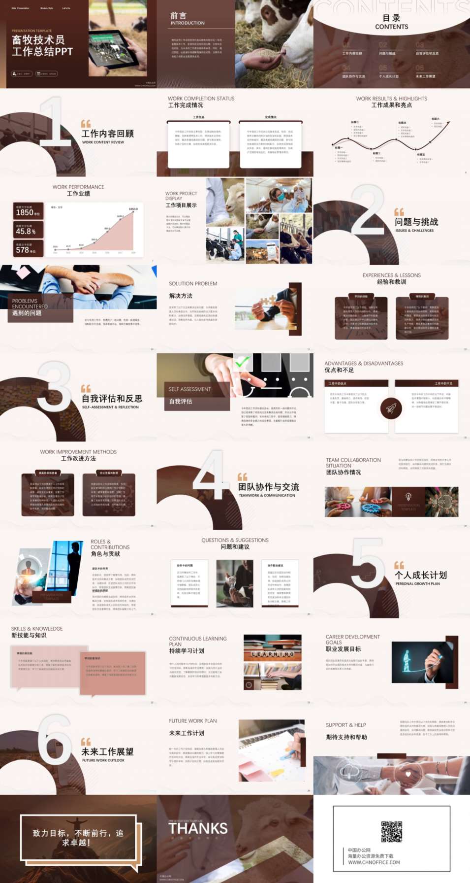 畜牧技术员工作总结ppt模板 预览图
