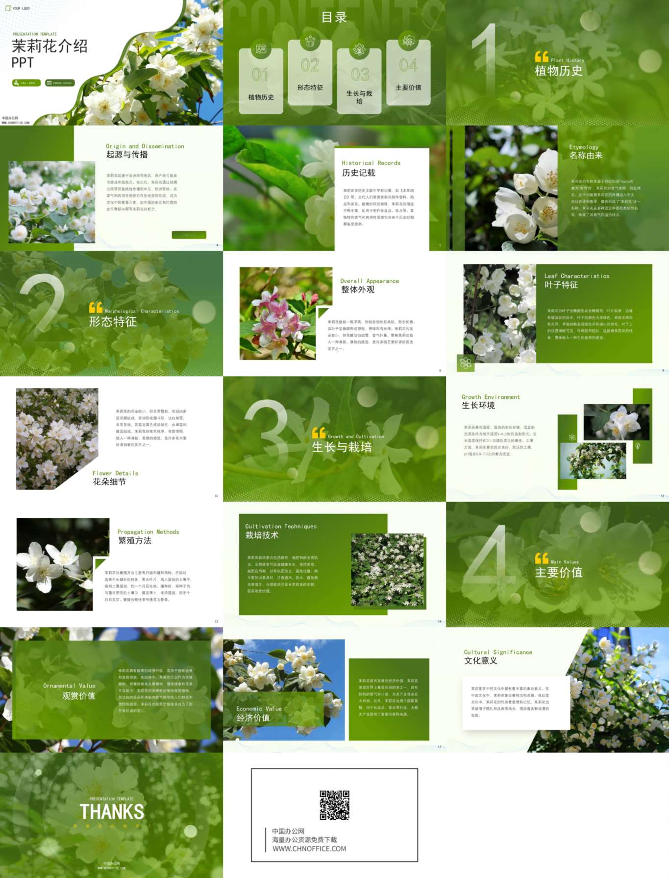 茉莉花水果蔬菜介绍ppt模板 预览图