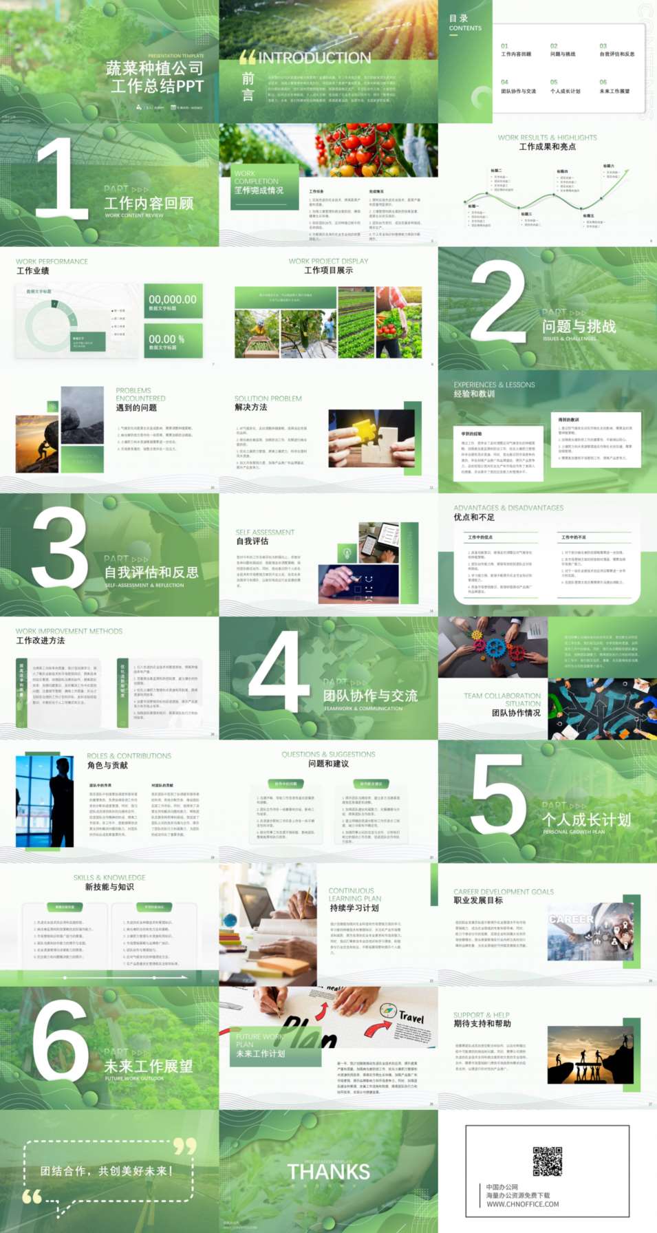 蔬菜种植公司工作总结ppt模板 预览图